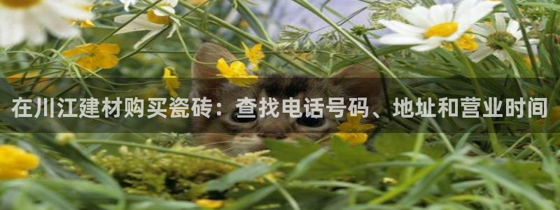 杏鑫平台怎么样黑钱吗是真的吗还是假的