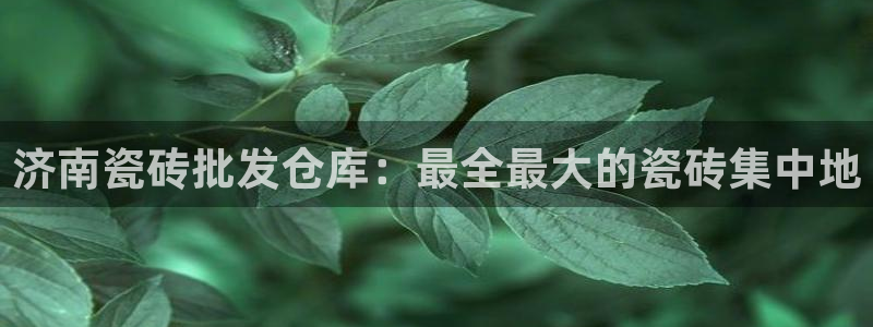杏鑫手机客户端怎么下载