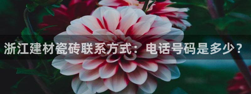 杏鑫官网最新信息新闻