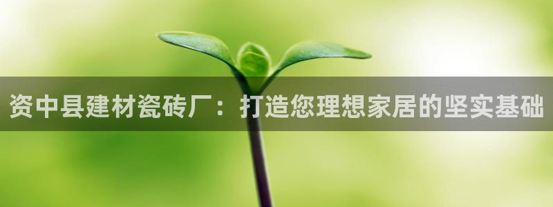 杏鑫官网注册账号怎么注册