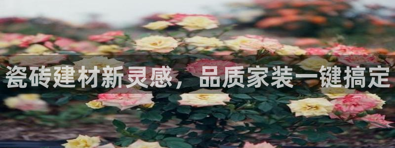 杏鑫平台念7O777