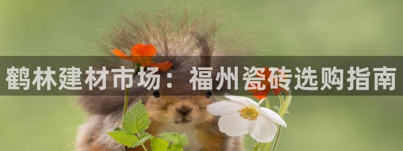 杏鑫娱乐平台登录