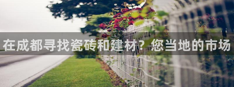 杏鑫手机客户端怎么下载