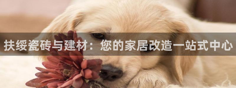 杏鑫娱乐官网登录