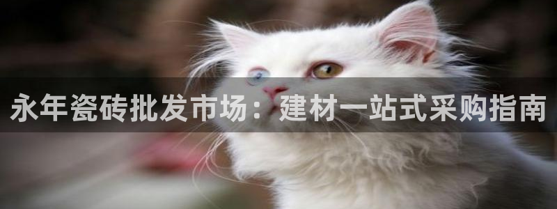 杏鑫注册登录网