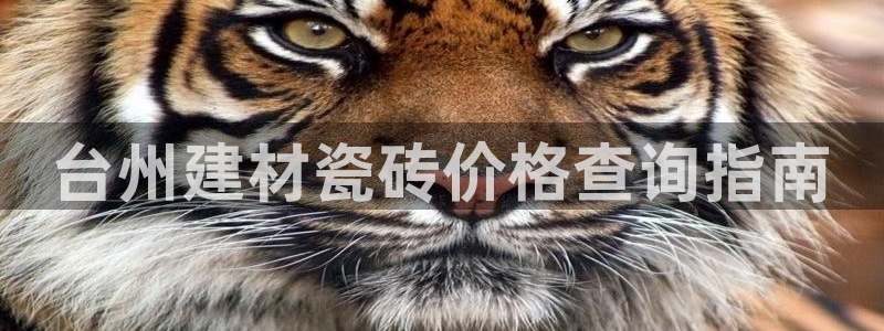 杏鑫平台待遇