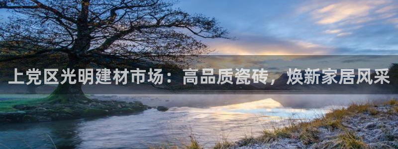 杏鑫平台代理注册流程