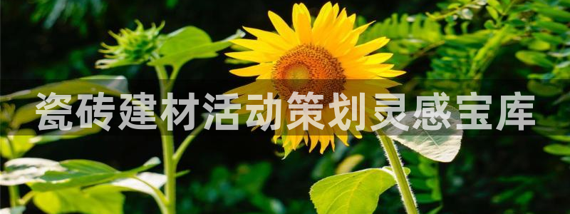 杏鑫平台念7O777