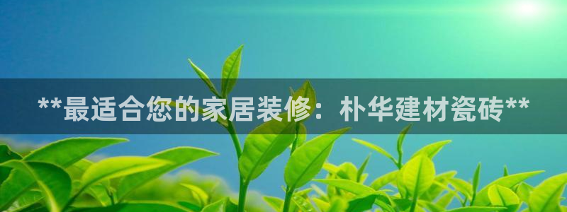 杏鑫官网