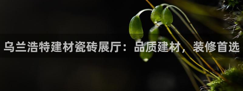 杏鑫代理注册资金多少