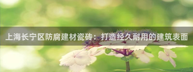 杏鑫平台怎么样