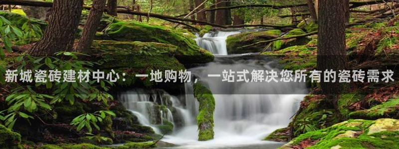 杏鑫官方平台怎么样