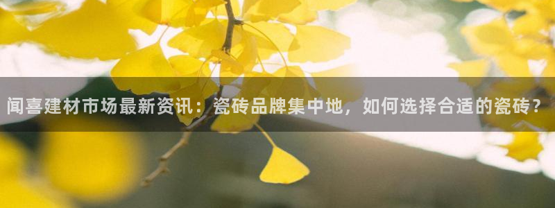 杏鑫平台代理怎么做