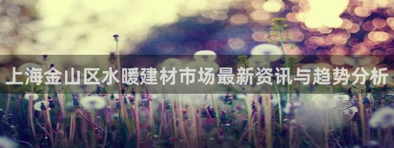 杏鑫官方平台怎么样啊知乎