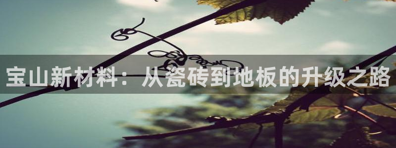 杏鑫平台招商电话号码