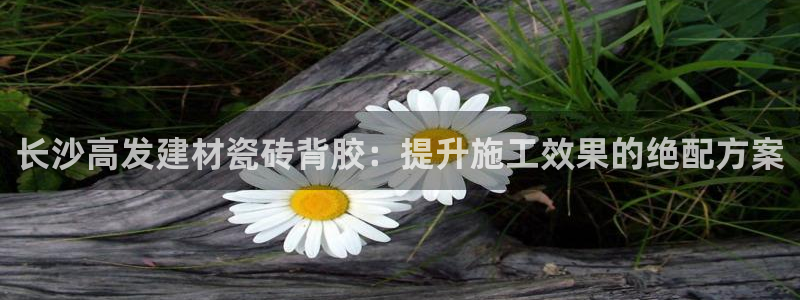 杏鑫平台平台