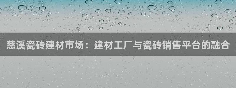 杏鑫平台代理注册流程图