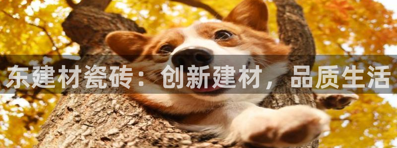 杏鑫平台招商怎么样