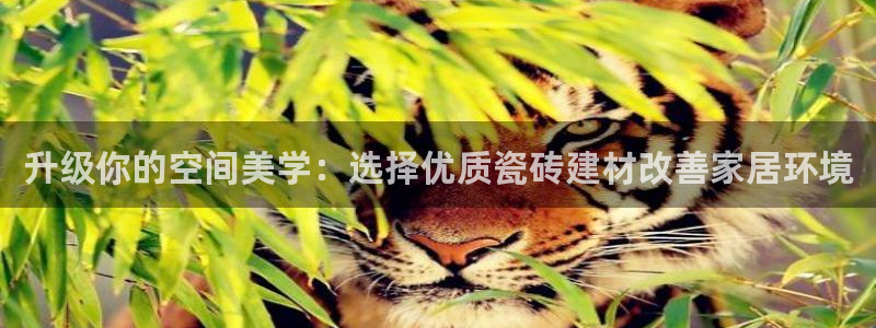 杏鑫平台念7O777