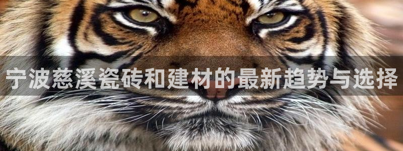 杏鑫平台靠谱吗