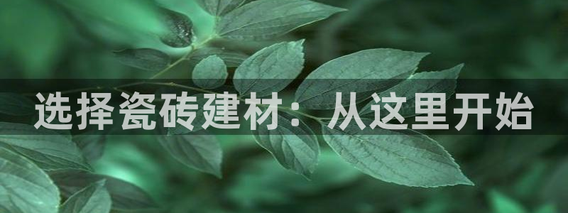 杏鑫手机客户端
