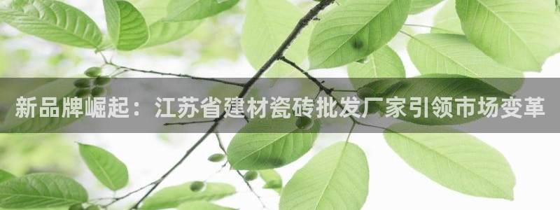 杏鑫娱乐官方网站客户端
