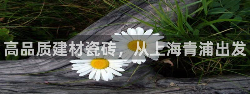 杏鑫有亏损返点吗