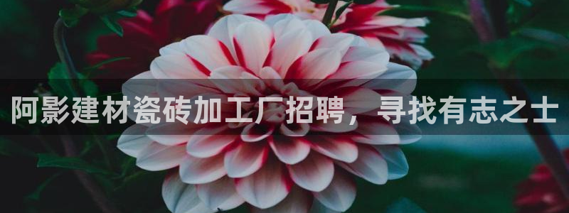 杏鑫娱乐官网首页