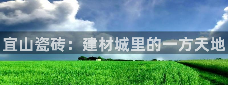 杏鑫主管