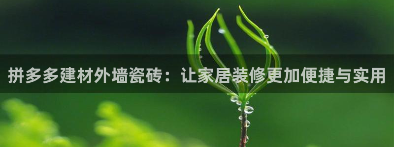 杏鑫娱乐平台测速怎么样