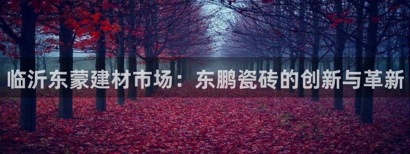 杏鑫平台注册登录