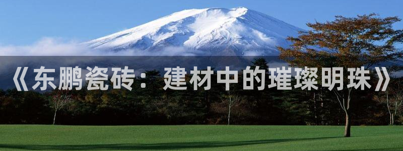 杏鑫注册平台官方网站下载