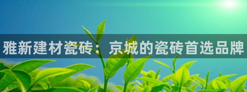 杏鑫平台线路测速