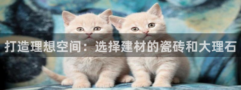 杏鑫平台招商电话号码查询