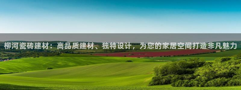 杏鑫娱乐开发团队