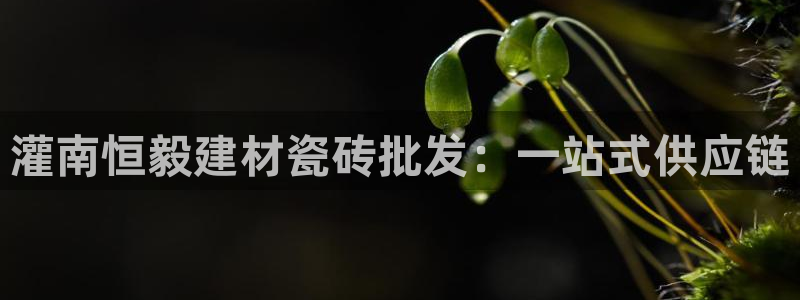 杏鑫官网注册账号是什么样的