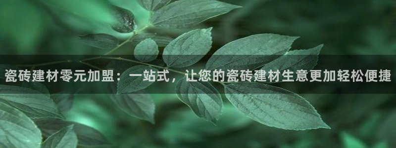 杏鑫平台代理注册流程视频