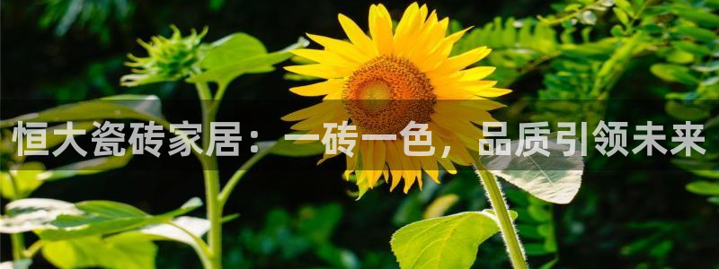 杏鑫平台注册网址查询