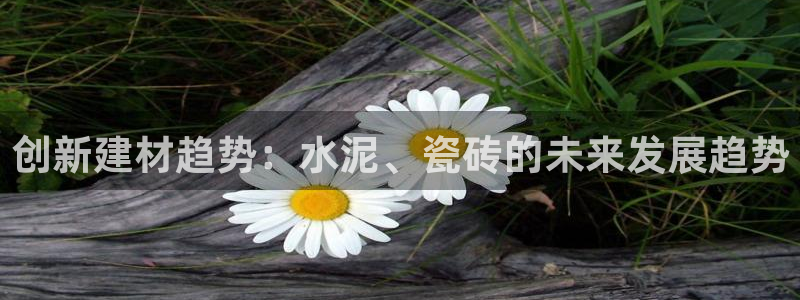 杏鑫主管