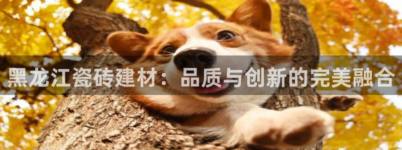杏鑫平台线路测速
