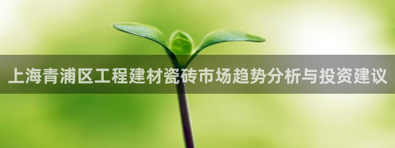 杏鑫官网注册账号怎么注册的