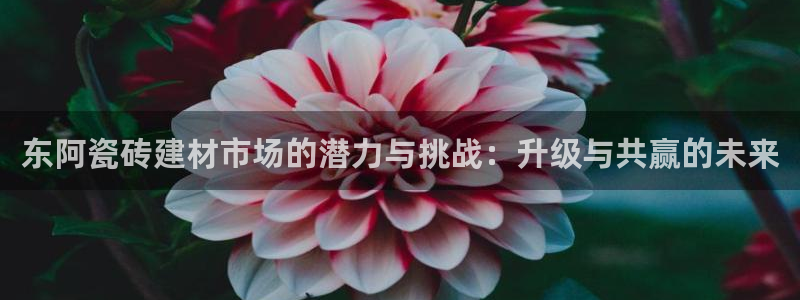 杏鑫官网最新信息新闻