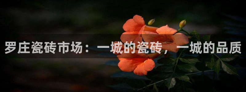 杏鑫平台登录注册