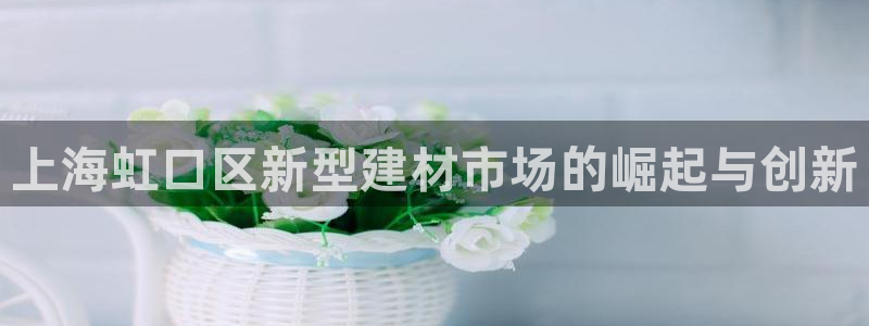杏鑫平台代理注册流程视频