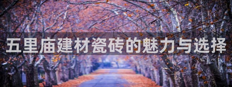 杏鑫平台代理注册流程视频