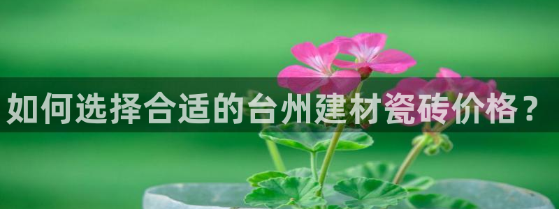 杏鑫平台代理注册登录不了怎么办呀苹果