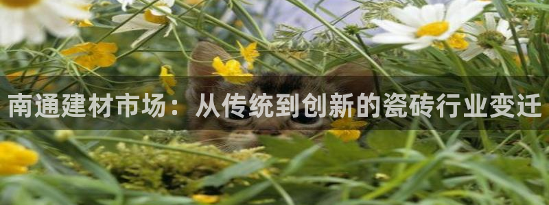 杏鑫官网注册账号是什么样的