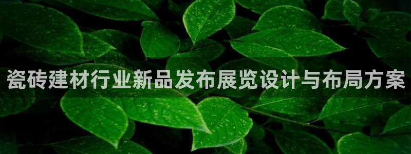 杏鑫平台代理注册流程视频