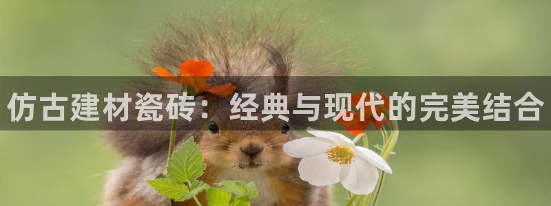 杏鑫平台代理注册