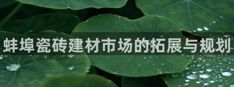 杏鑫娱乐官网登录